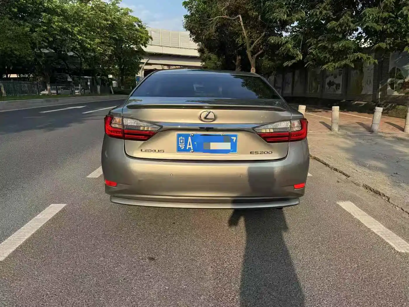 Lexus ES 2015 200 Elite Edition фото 5