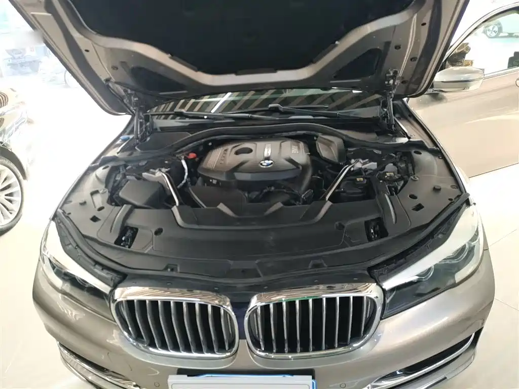 BMW 7 Series 2018 730Li Leading Type Excellence Package фото 16