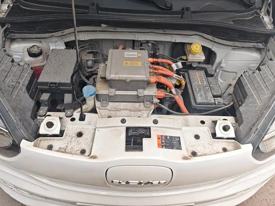 Roewe Kaiwei CLEVER 2023 2022 311km Vitality Bobo Edition