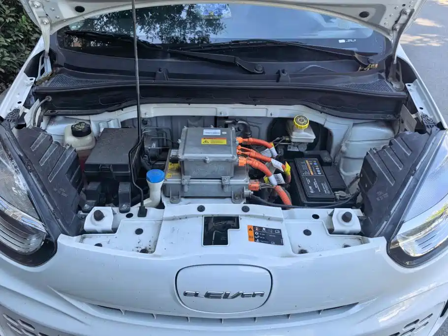Roewe Clever 2023 2022 311km Vitality Bobo Edition