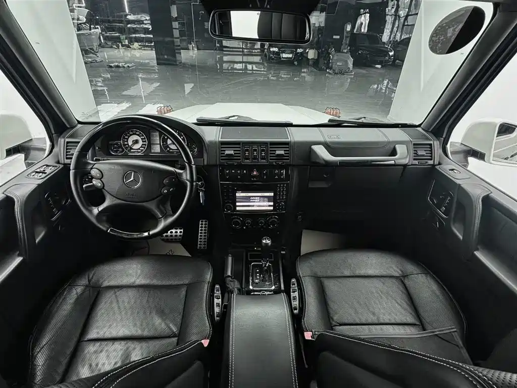 Mercedes-Benz G-Class AMG 2009 AMG G 55 фото 16