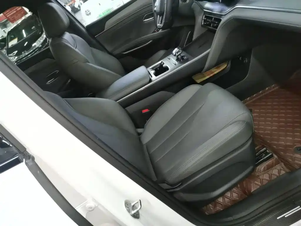 BYD Song L DM-i 2025 Model Smart Drive Edition 112km Leading Type фото 25