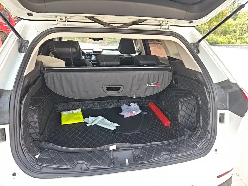 Фото 19 - Haval H6