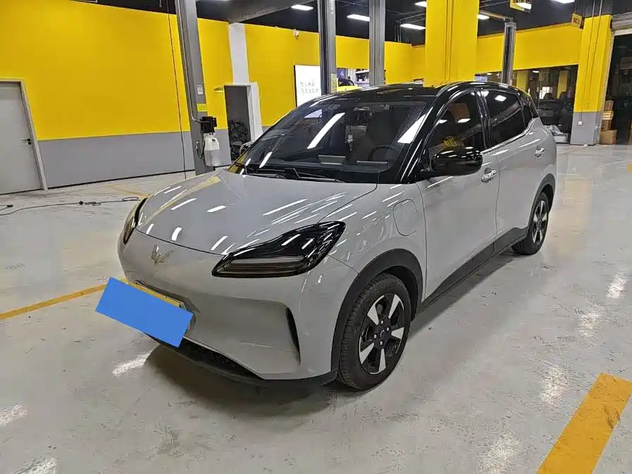 Wuling Motors Wuling Binguo PLUS 2024 2024 Model 330km 5-Seater