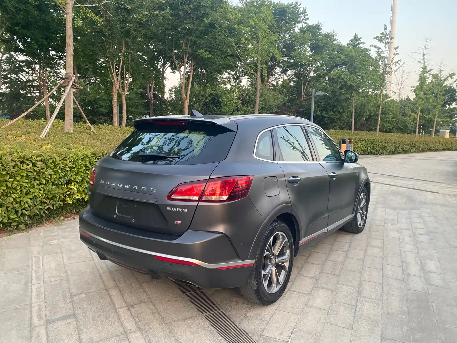 Фото 16 - Borgward BX7