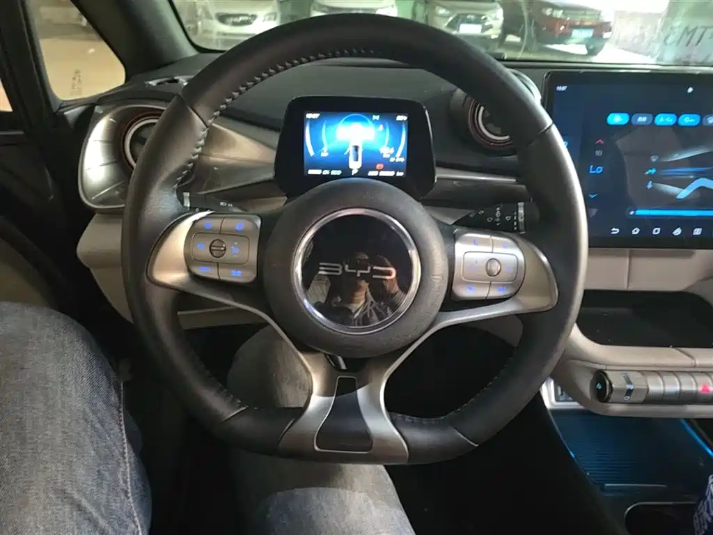 BYD Dolphin 2021 Model 405km Fashion Edition фото 3
