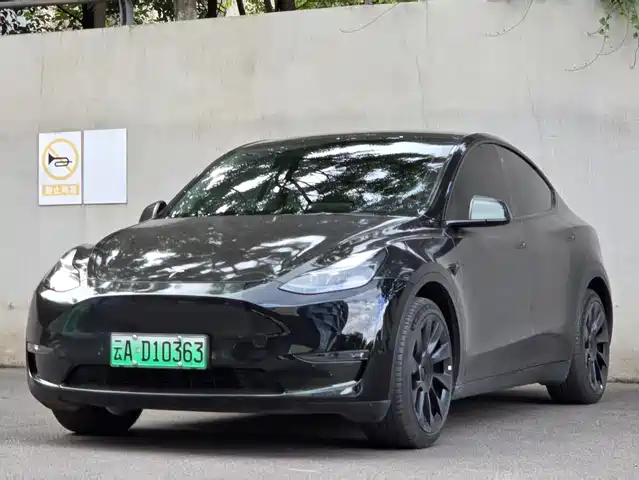 Tesla Model Y 2021 Standard Range Rear-Wheel Drive
