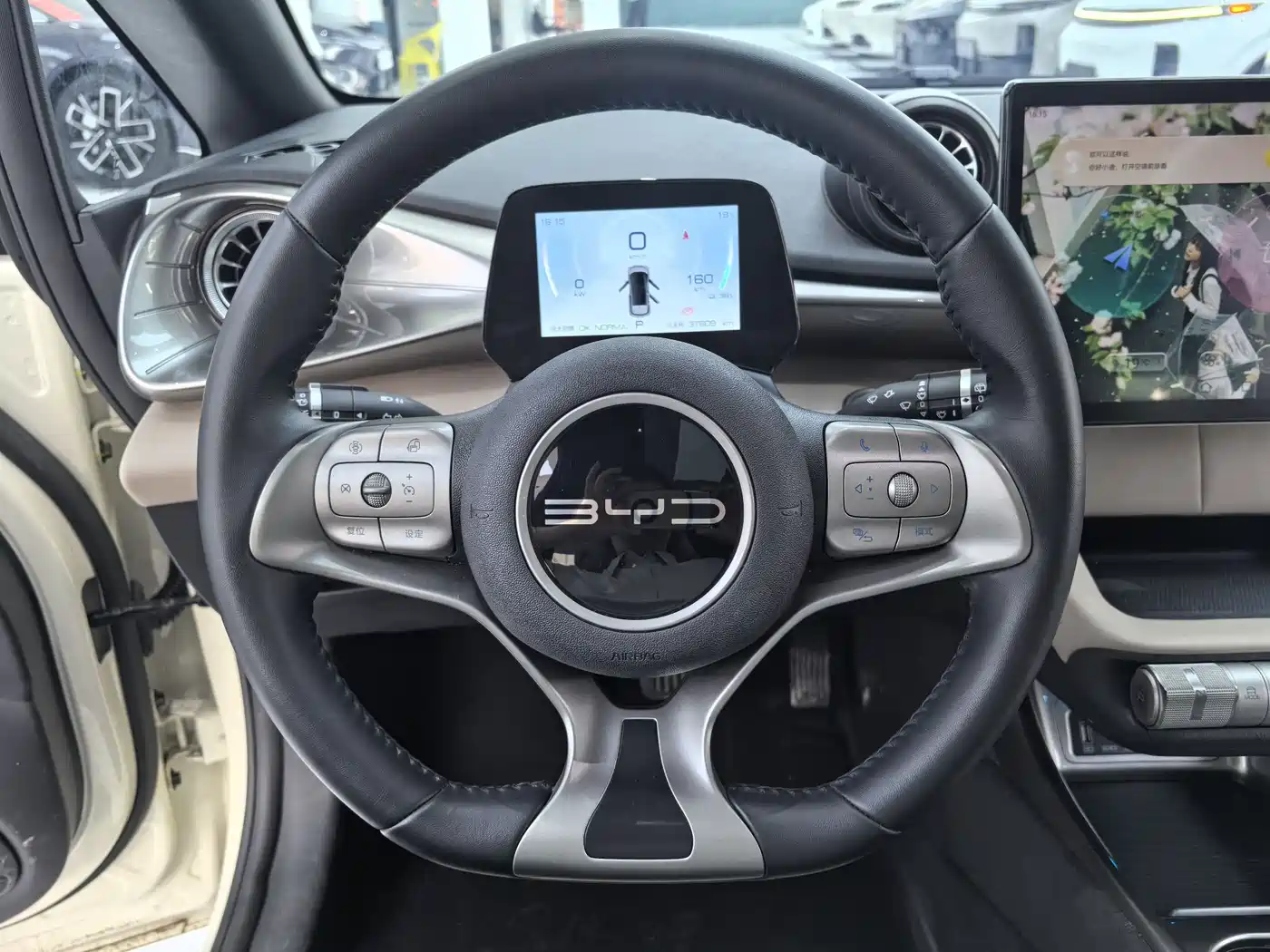 BYD Dolphin 2023 420km Fashion Edition фото 10