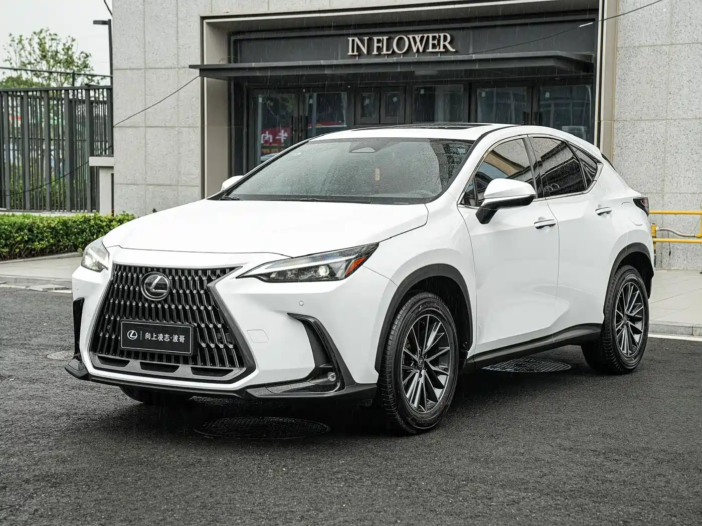 2026 Lexus NX