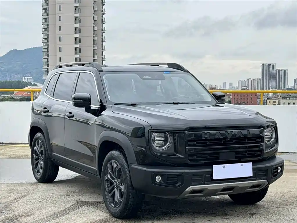 HAVAL BIG DOG