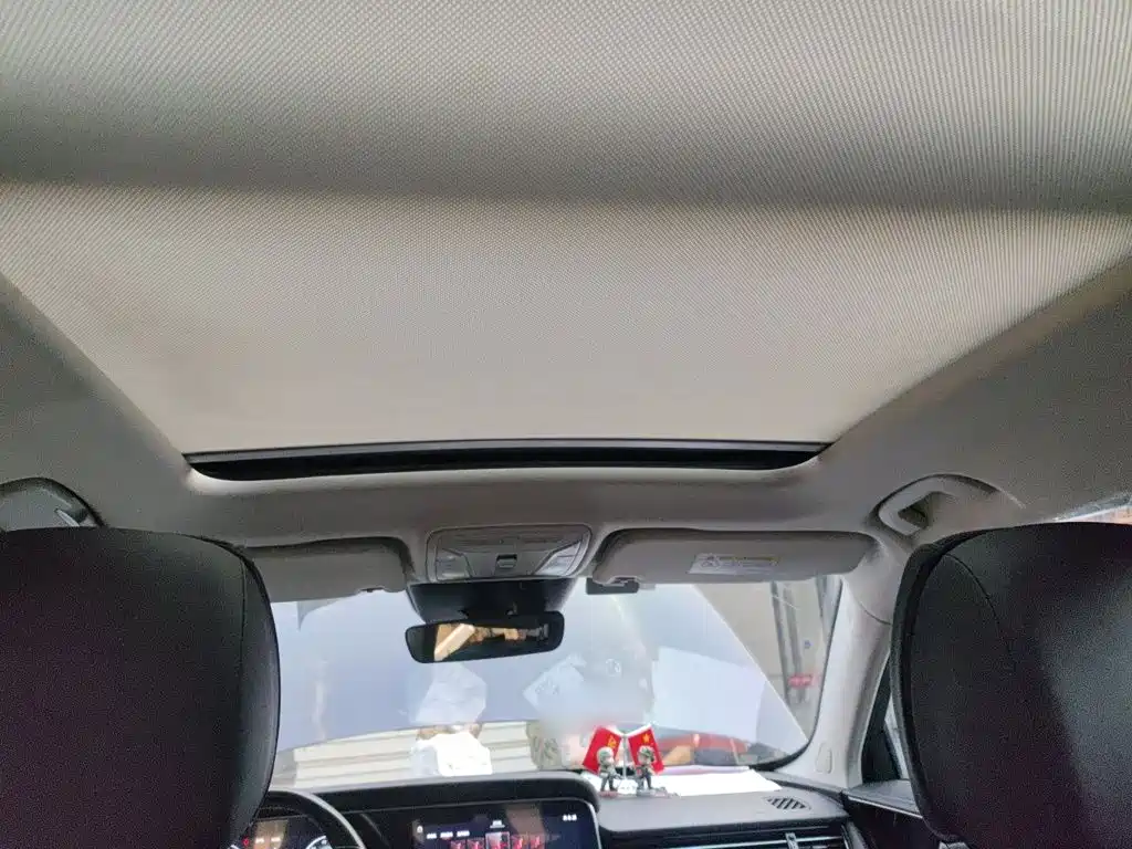 Hongqi HS5 2020 2019 2.0T Smart Connect Enjoy Edition