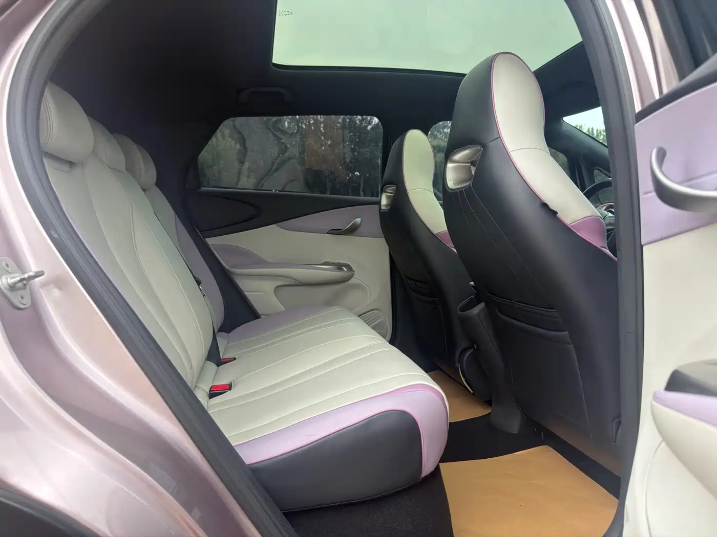 BYD Dolphin 2021 2021 Model 405km Fashion Edition