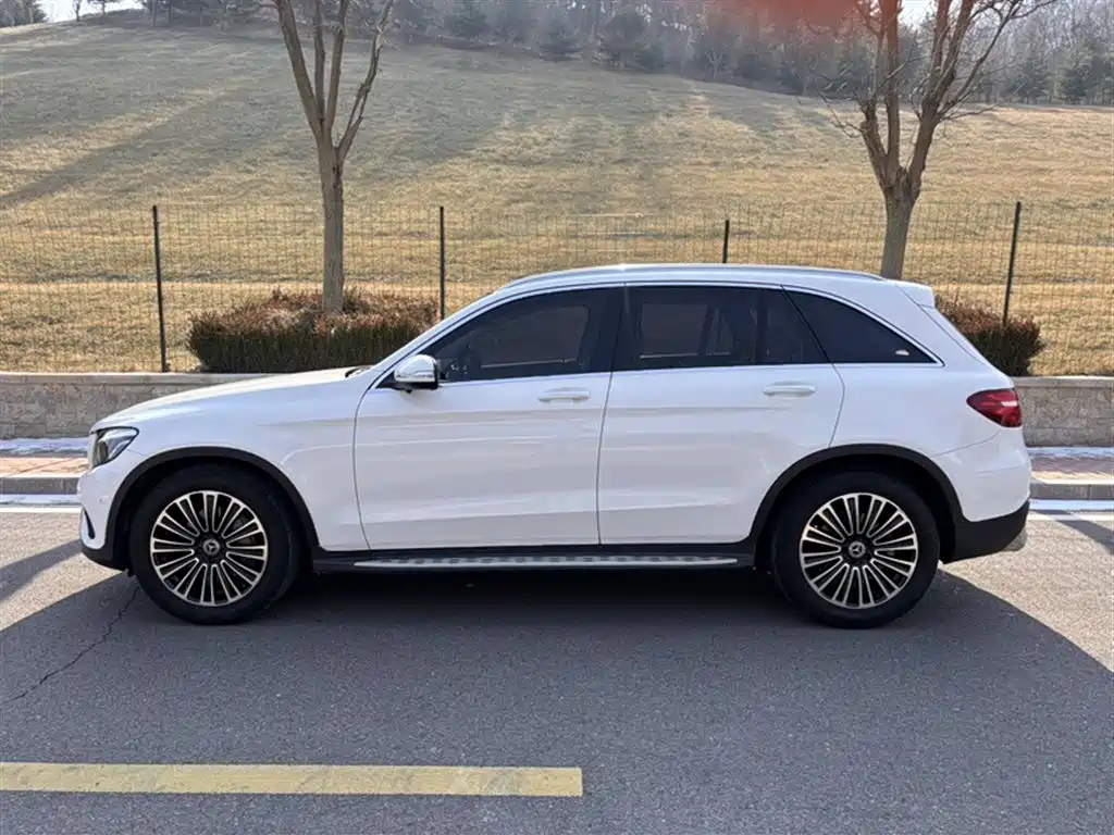 Mercedes-Benz GLC 2018 GLC 200 4MATIC фото 10