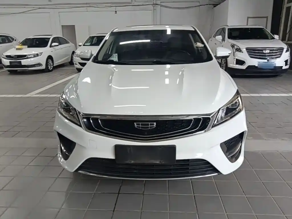 Фото 3 - Geely Binrui