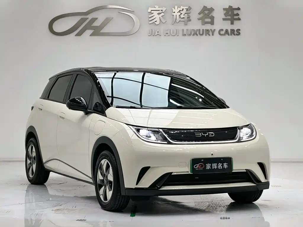 2026 BYD Dolphin