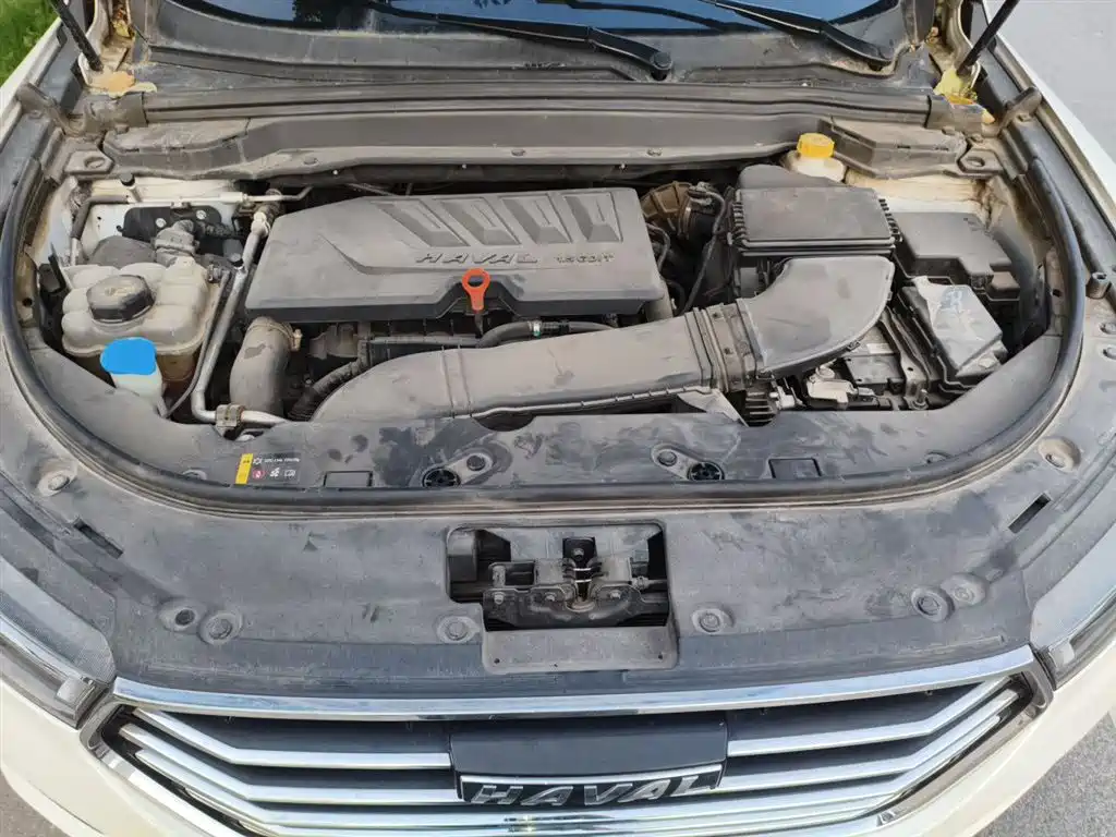 Haval H4 2019 1.5GDIT DCT Elite Smart Connection China VI фото 17