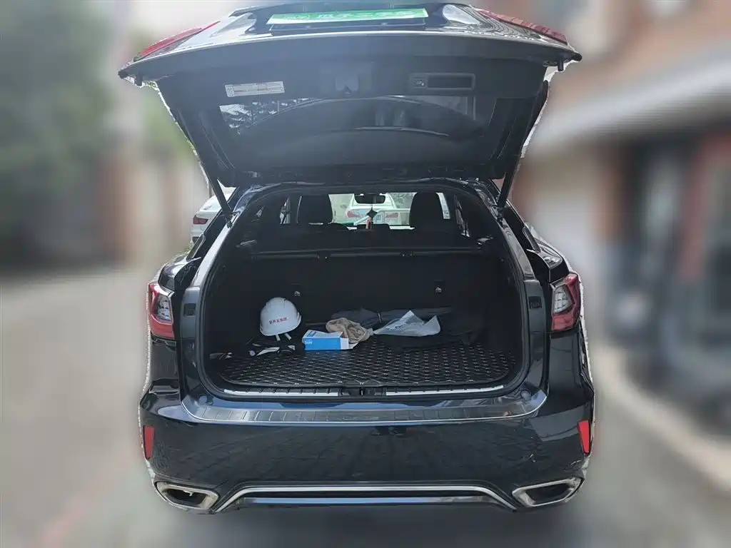 Lexus RX 2016 300 AWD F SPORT Edition China V фото 10