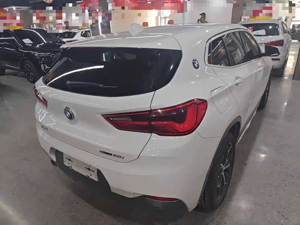 BMW X2 (Import) 2019 2019 sDrive20i M Off-Road Package China VI