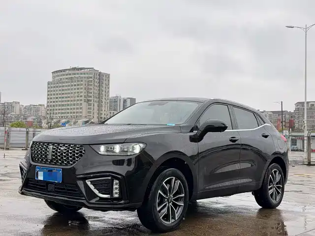 wei-pai wei-brand-vv5