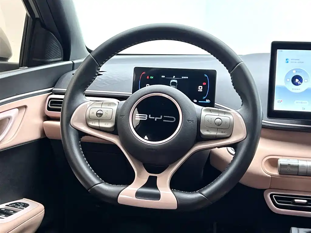 BYD Seagull 2024 Glory Edition 305km Freedom Edition фото 10