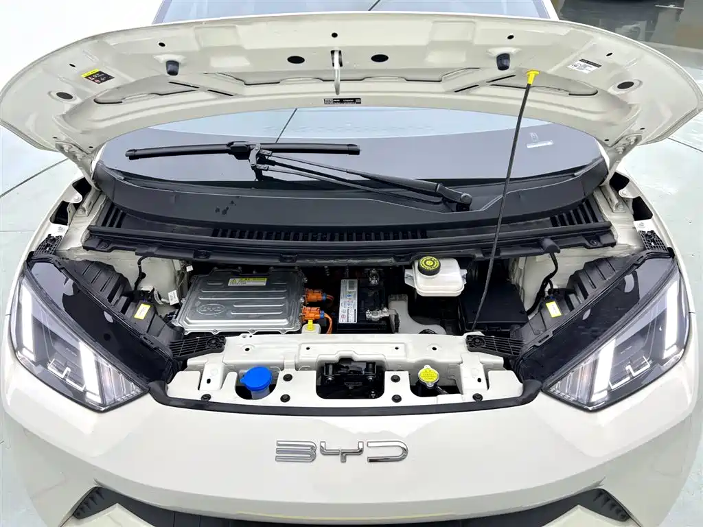 BYD Seagull 2024 Glory Edition 305km Freedom Edition фото 16
