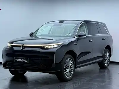 Wey V9X