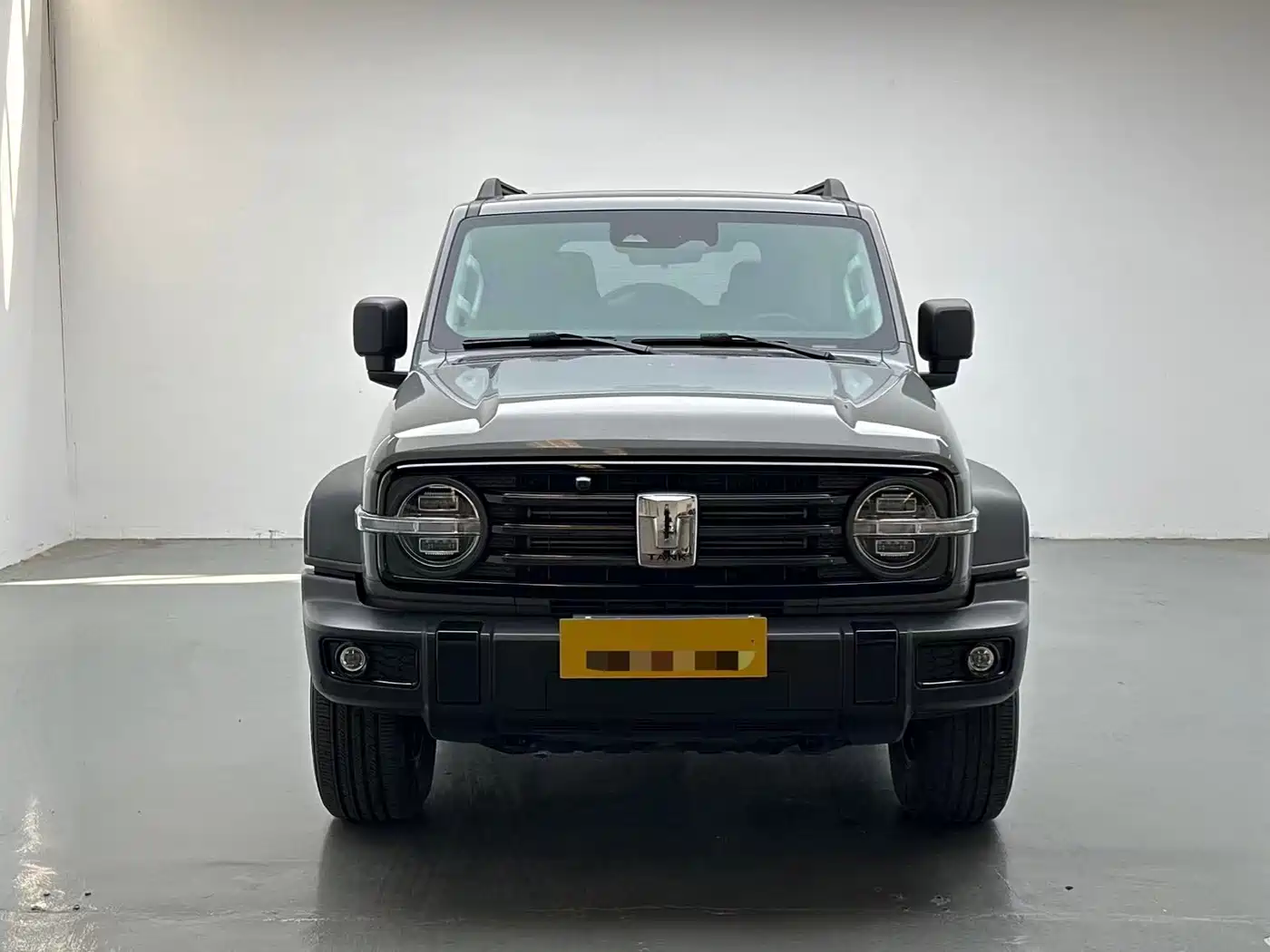 Tank 300 2021 2021 Off-road Version 2.0T Conqueror