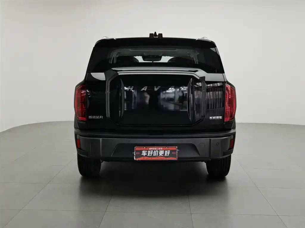 Haval Cool Dog 2022 1.5T DCT 4WD Adventure Edition фото 4
