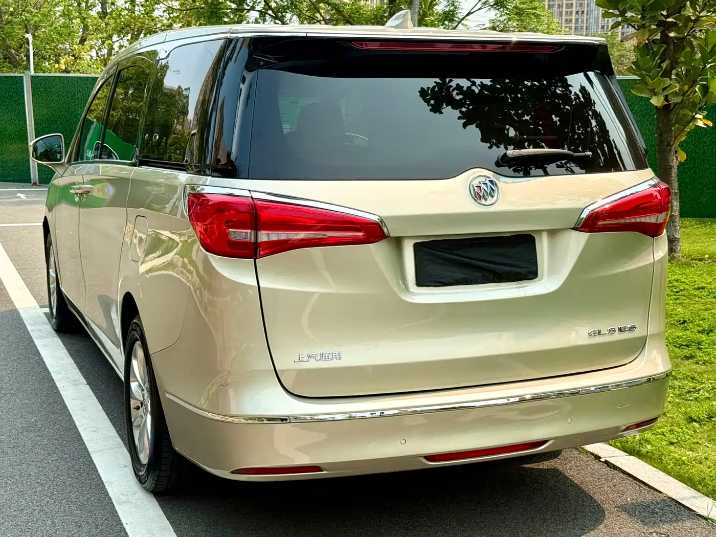 Buick GL8 2018 ES 28T Premium Type China VI фото 12