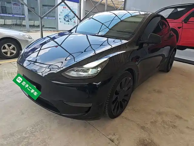  Tesla Model Y 2022 Performance High-Performance All-Wheel Drive Version