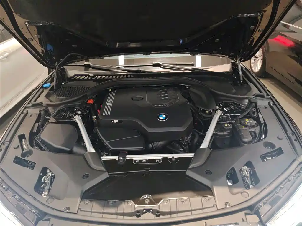 BMW 5 Series 2023 530Li Leading Luxury Package фото 16