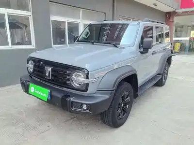 Tank 300