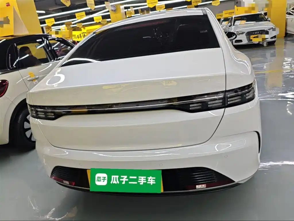 BYD Destroyer 05 2024 Glory Edition DM-i 55KM Luxury фото 6
