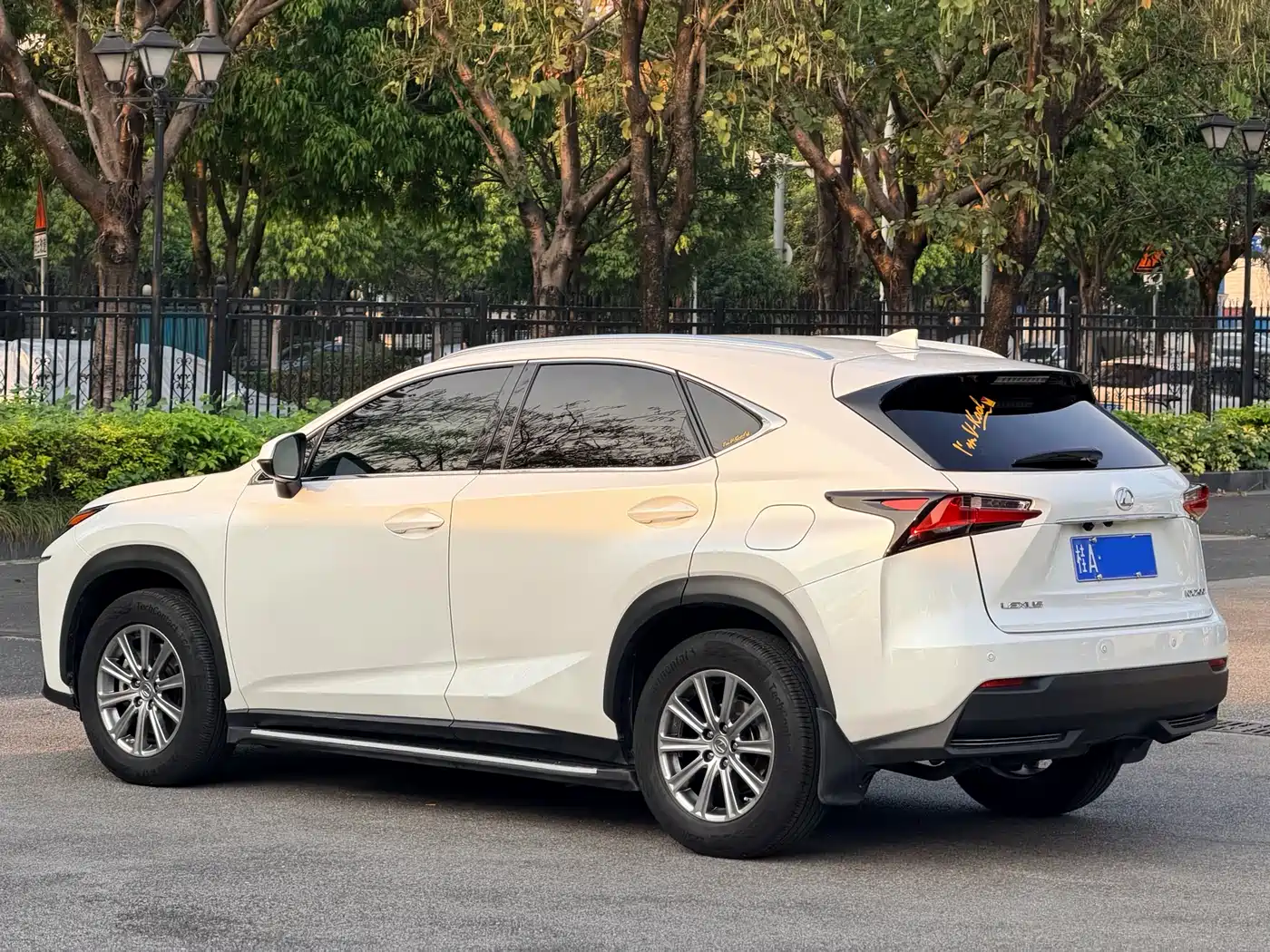 LEXUS NX