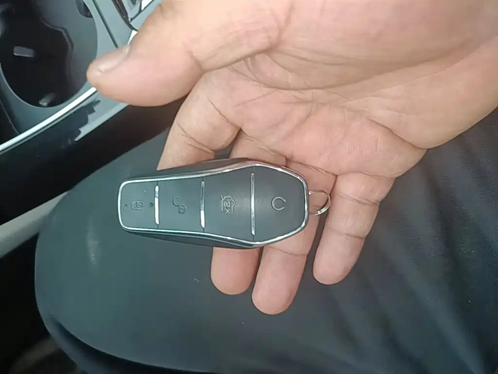 BYD Qin PLUS 2023 Champion Edition DM-i 55KM Surpassing фото 9