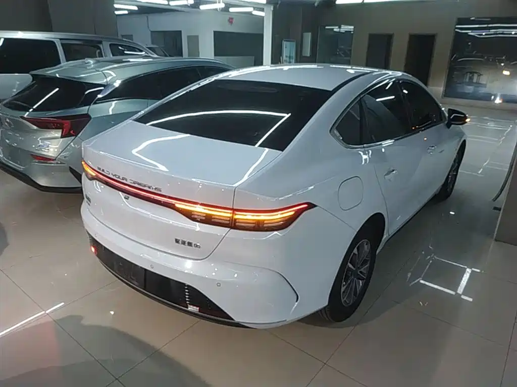 BYD Destroyer 05 2024 Glory Edition DM-i 55KM Luxury фото 7