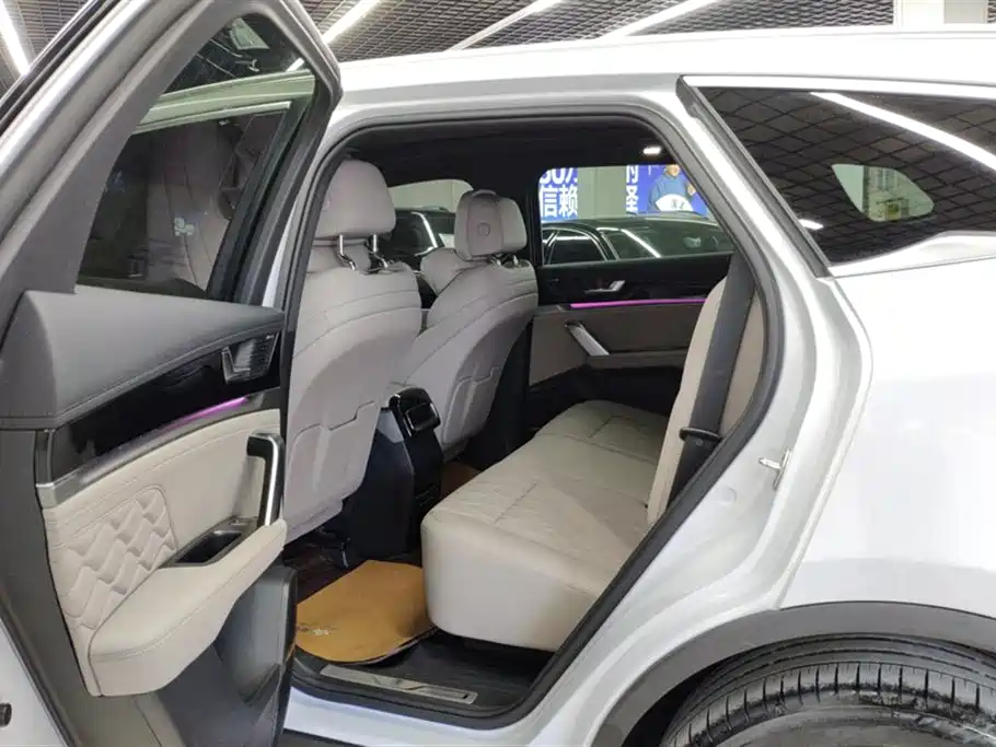 BYD Tang New Energy 2024 DM-p Glory Edition 215KM AWD Flagship фото 11