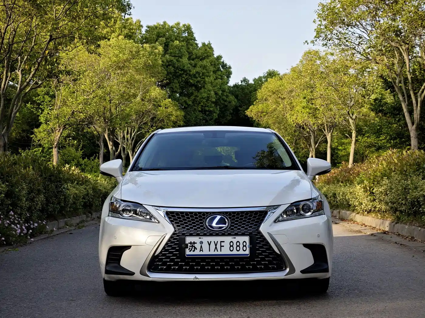 Lexus CT 2017 CT200h Elite Edition Monochrome China V фото 2