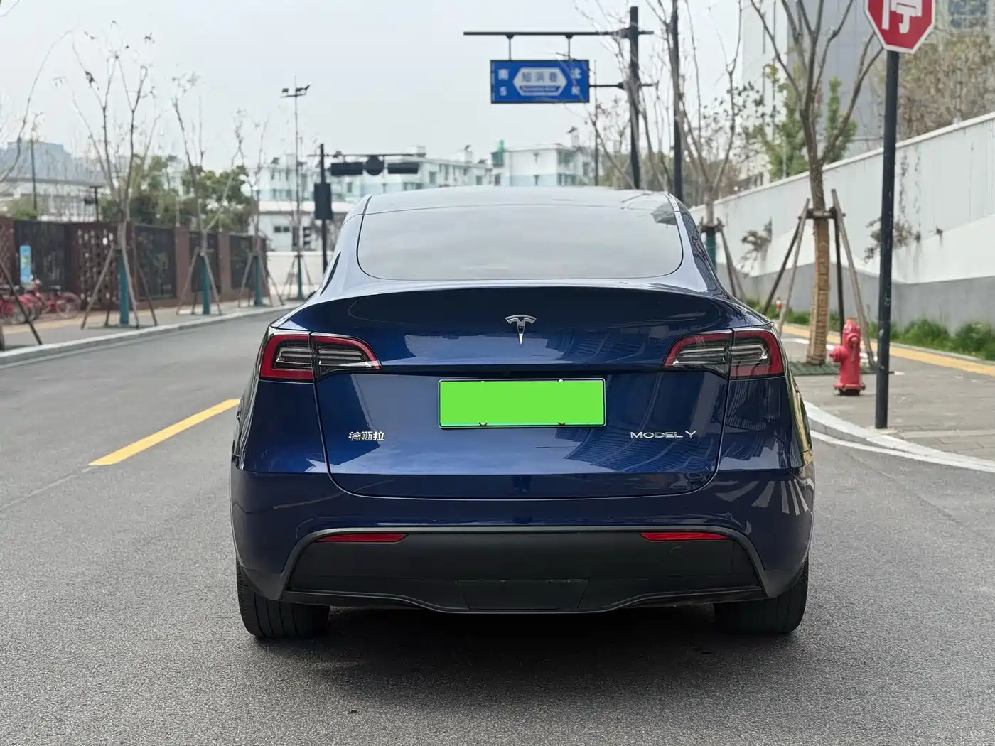 TESLA MODEL Y