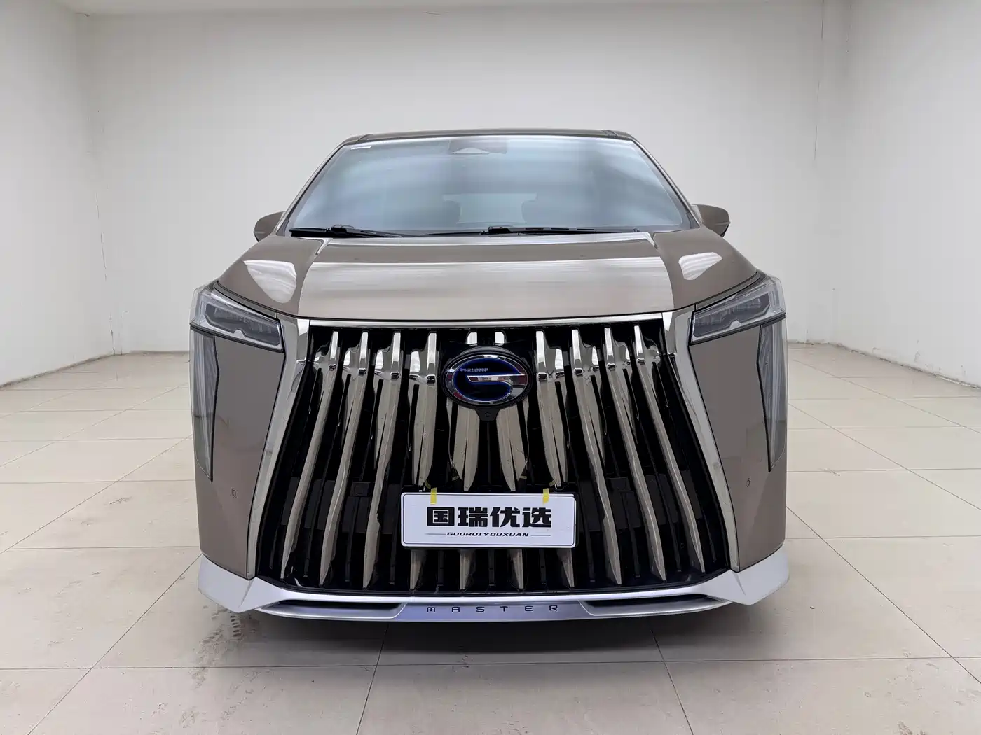 GAC Trumpchi Trumpchi M8 2023 Master Series Dual Hybrid Flagship Edition фото 2