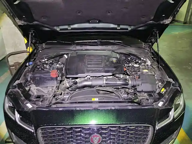 Jaguar XFL 2022 XFL 2.0T P250 2WD Premium Luxury — фото 3