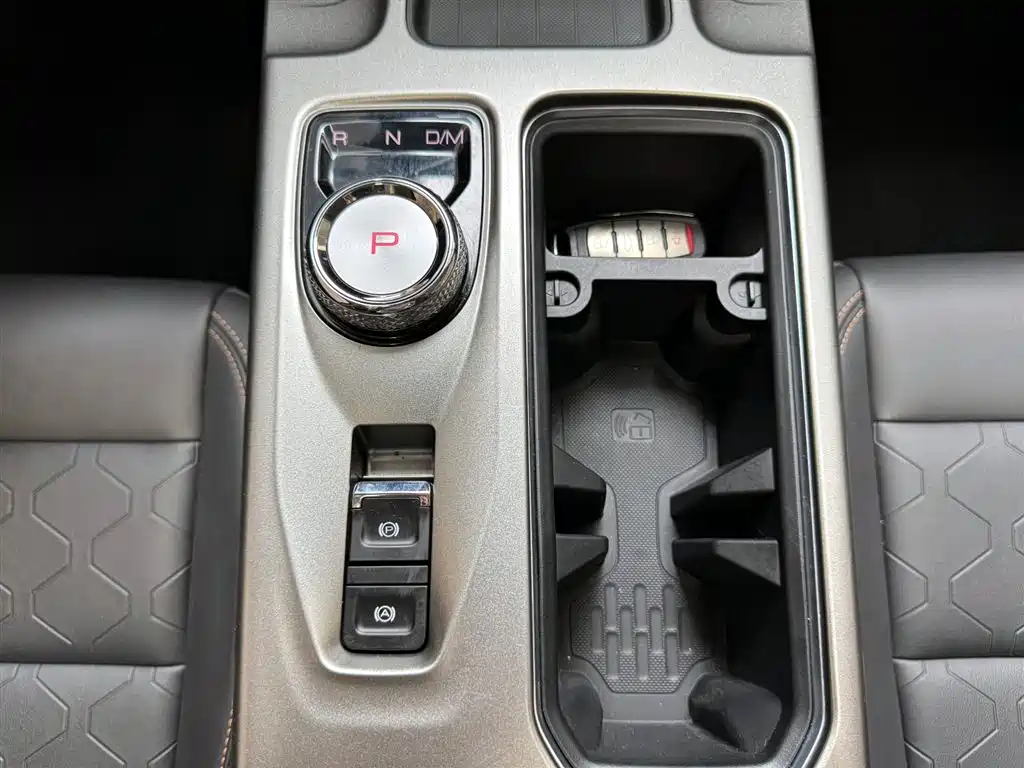 Haval Big Dog 2024 2.0T DCT Chinese Rural Dog Edition фото 14