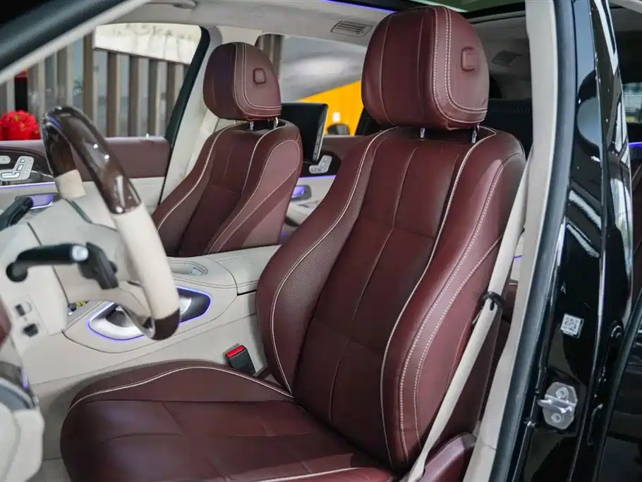 Mercedes-Benz Maybach GLS 2021 GLS 600 4MATIC Ritual Edition фото 15