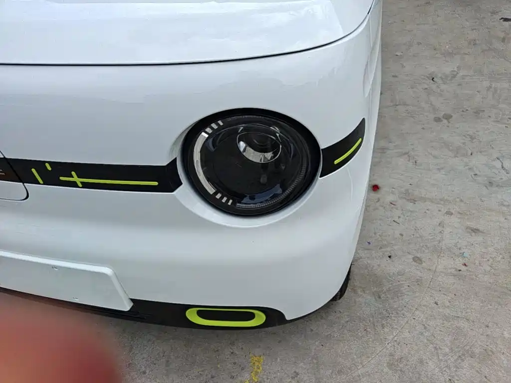 Geely Galaxy Panda 2026 2025 Panda mini 210km Vitality Bear