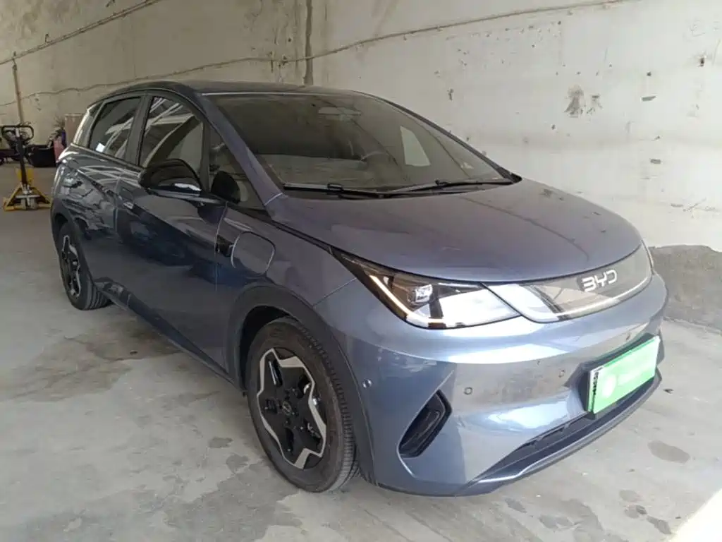 Фото 4 - BYD Dolphin