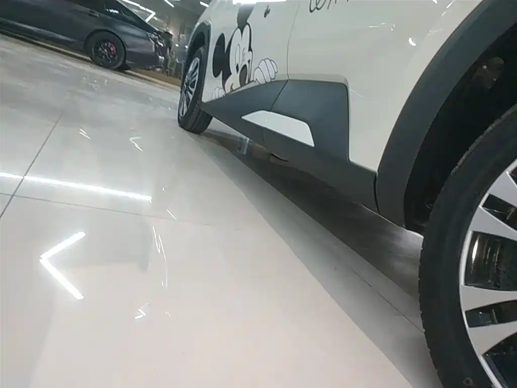 BYD Seagull 2025 305km Vitality фото 22