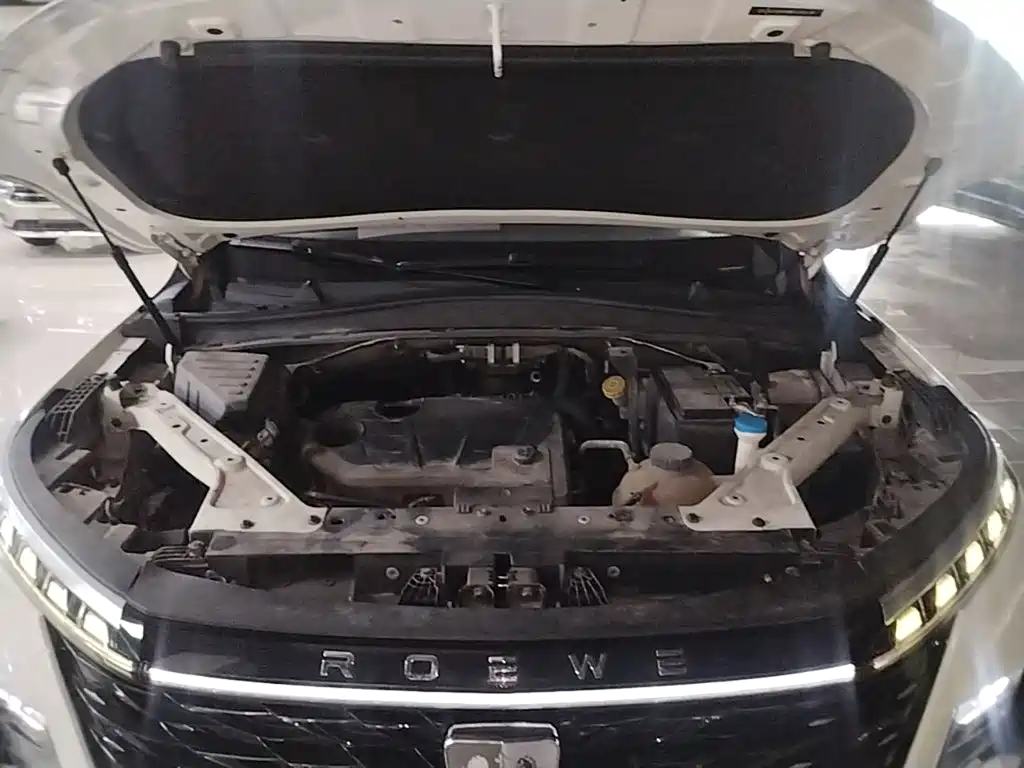 Roewe RX5 MAX 2022 2022 1.5T Auto Promising Premium Edition