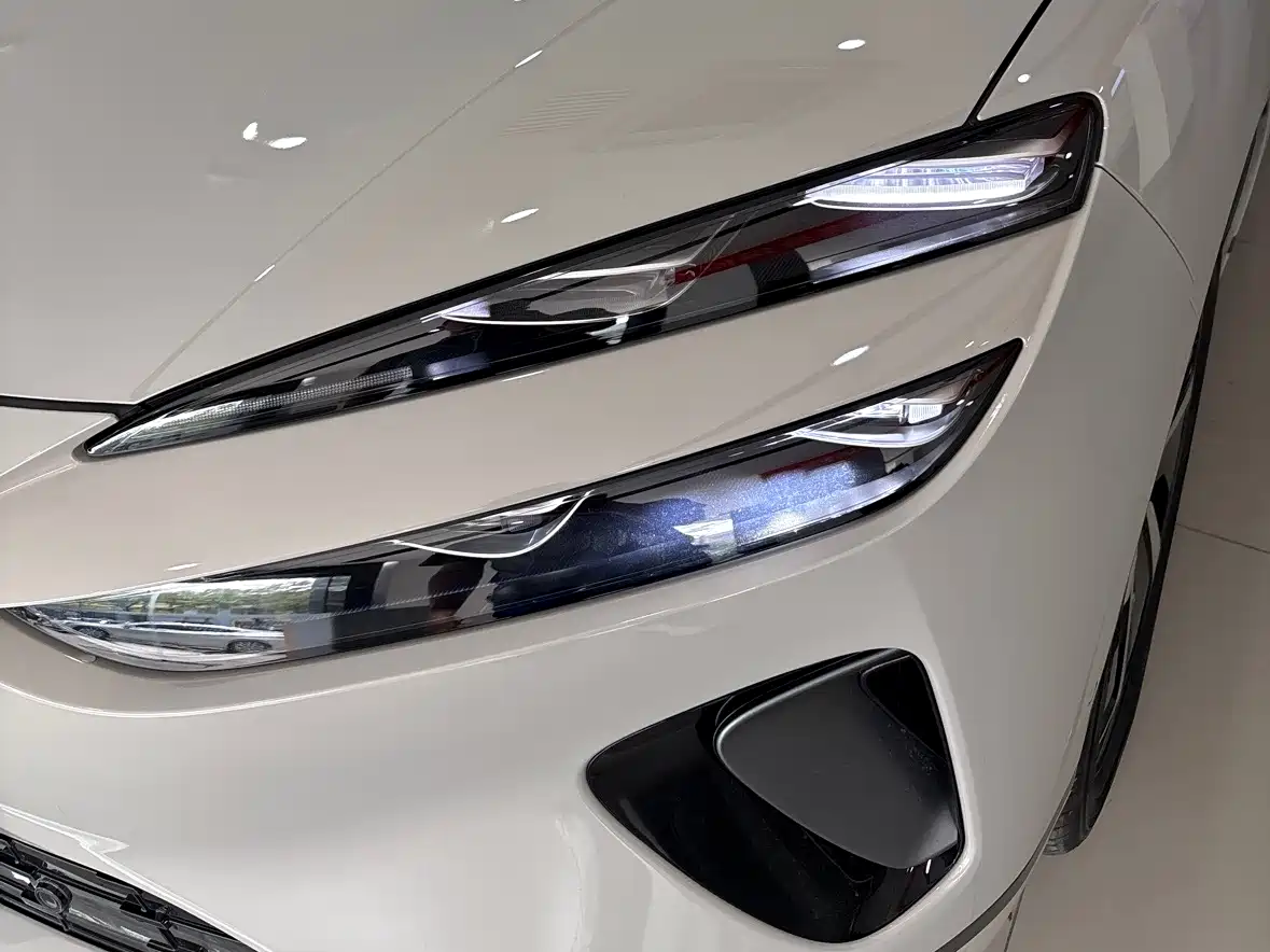 BYD SEA LION 06 NEW ENERGY