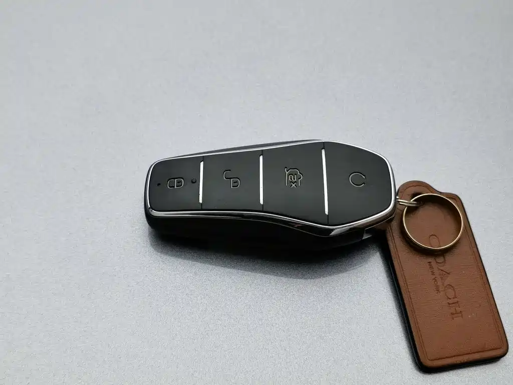 BYD Qin PLUS 2021 2021 EV 400KM Luxury Model