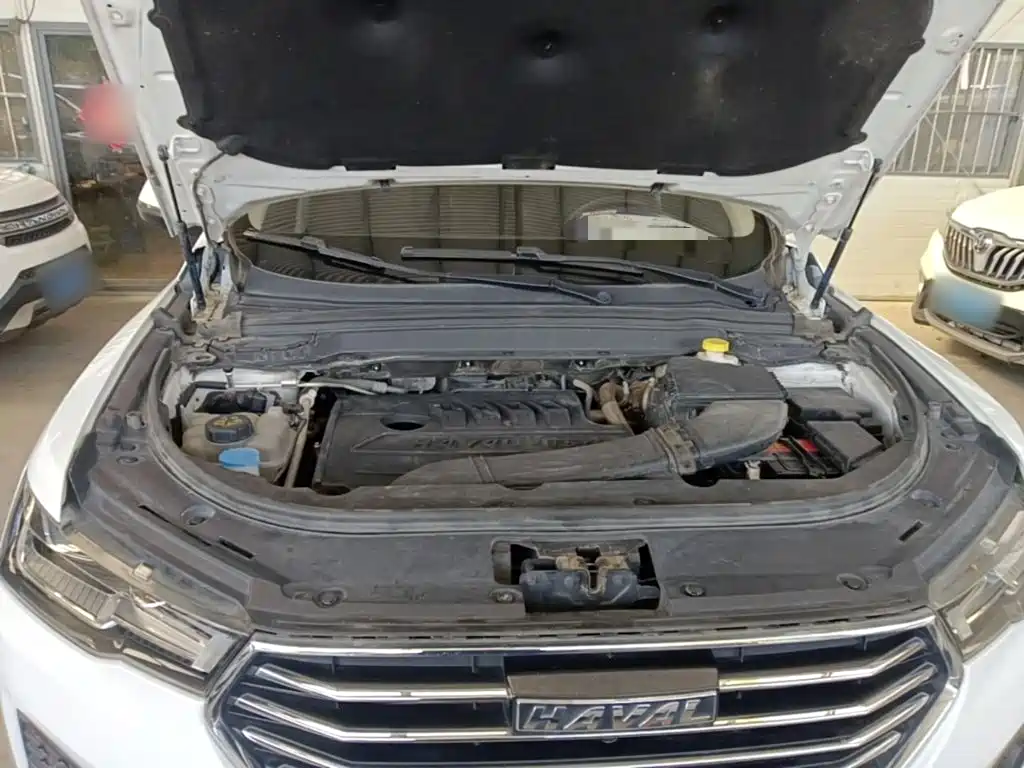Haval H4 2020 2020 Enjoy Edition 1.5T Manual Sport